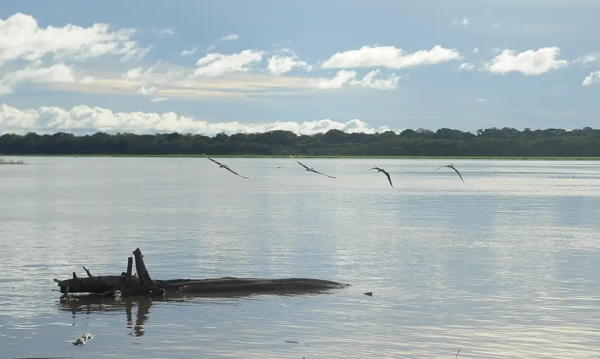 O governo federal paga hoje, 4, o Auxílio Extraordinário para aproximadamente 148 mil pescadores e pescadoras da Região Norte afetados pela seca histórica deste ano. 