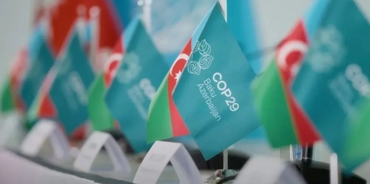 COP29 -