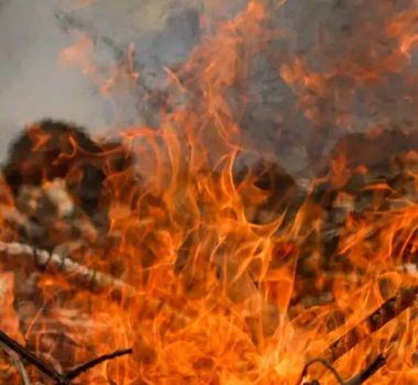 Imagem - Incêndios criminosos atingem Mocajuba, no interior do Pará