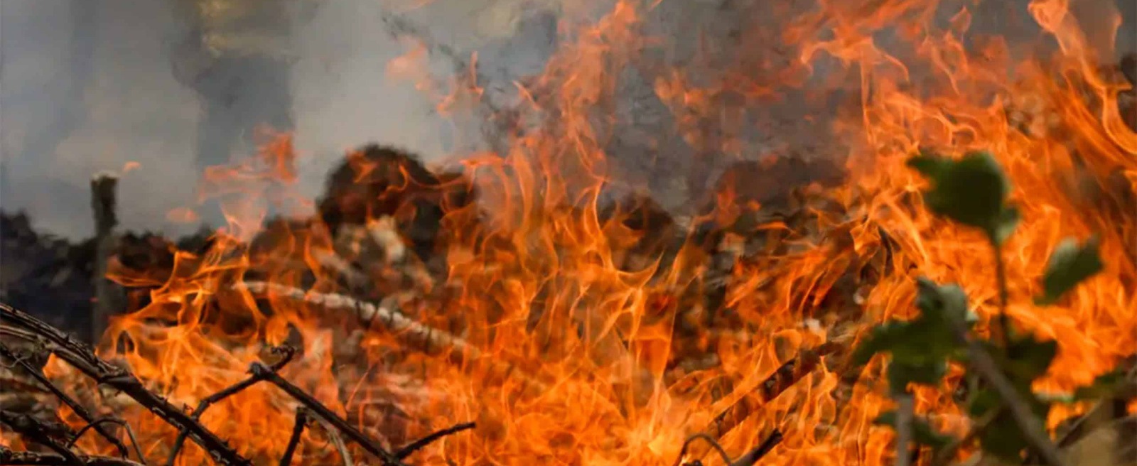 Incêndios atingem o município de Mocajuba.