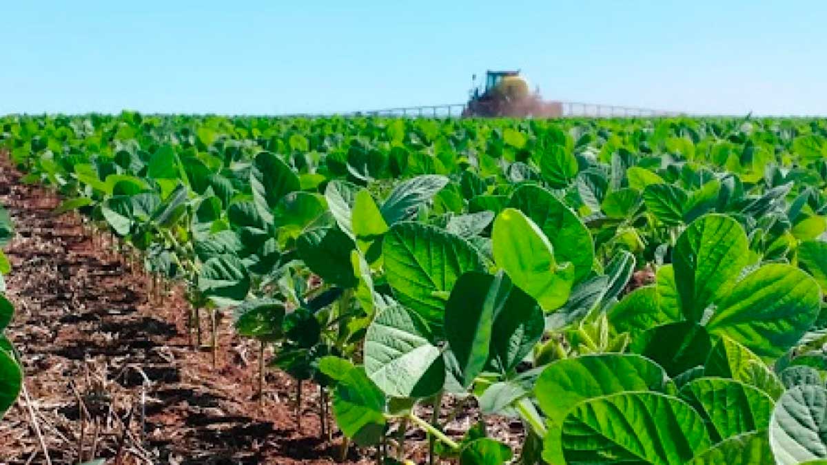 Programa da Conab inclui fornecedores de alimentos demunicípios paraenses