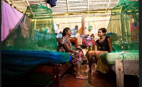 Programa de controle reduz em até 99% os casos de malária em cidades da região amazônica do Brasil