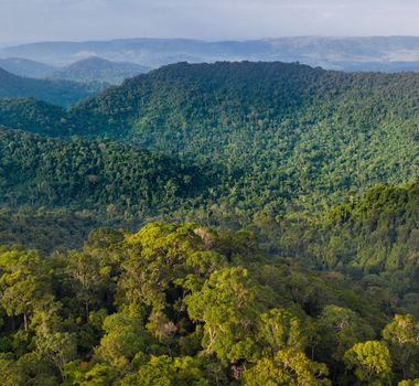 Imagem - Turnê 'Aurea Amazônia' abre contagem regressiva de um ano para COP 30