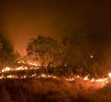 Imagem - Pesquisa diz que Pará é responsável por quase metade dos incêndios florestais na Amazônia