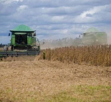 Imagem - Pará tem melhor desempenho da Região Norte com exportações do agronegócio