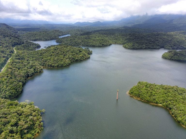 Mananciais da Serra guardam reservatórios de Curitiba (PR)