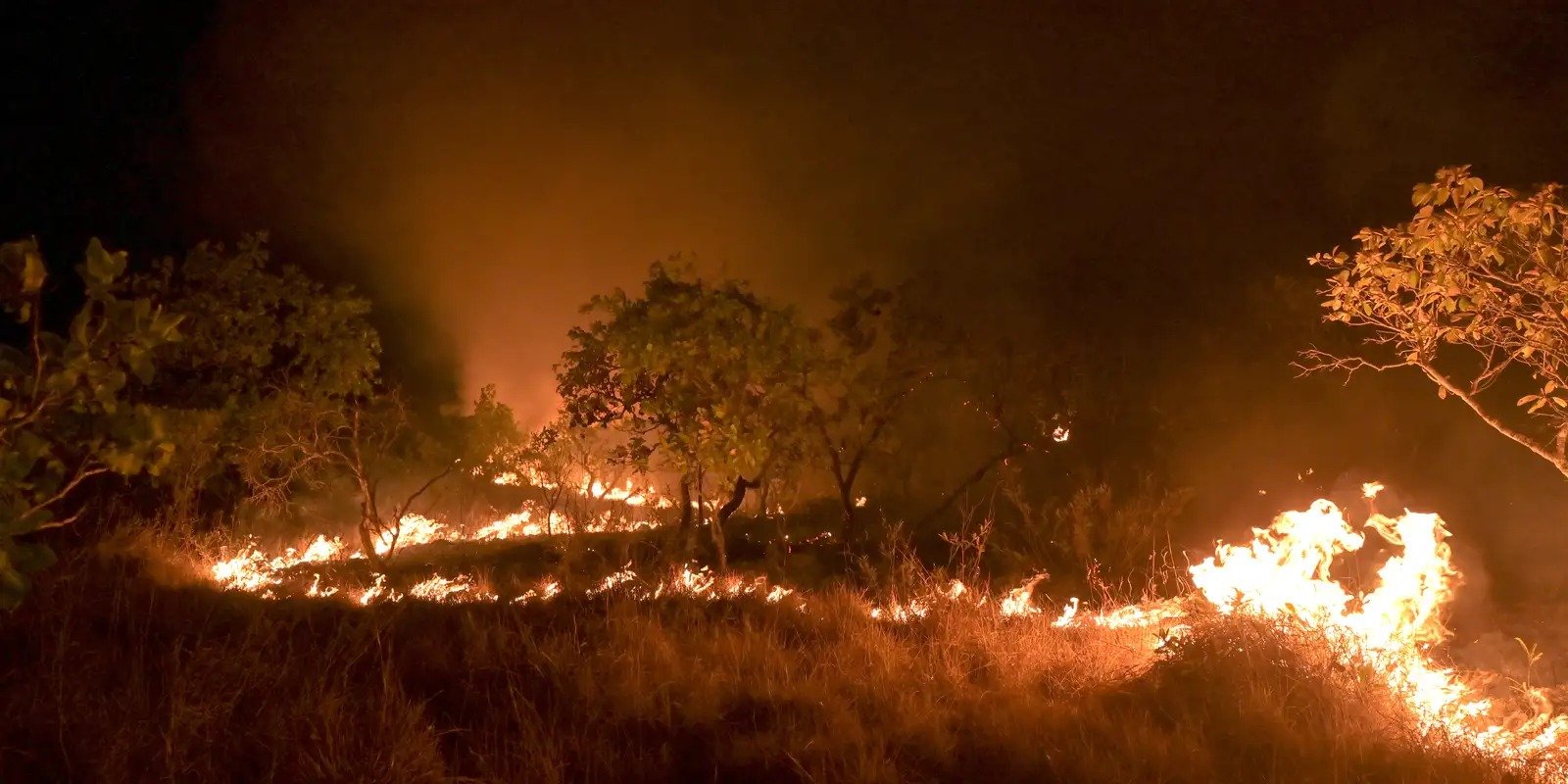 O Pará foi responsável por 42% dos incêndios florestais na Amazônia entre janeiro e outubro deste ano.