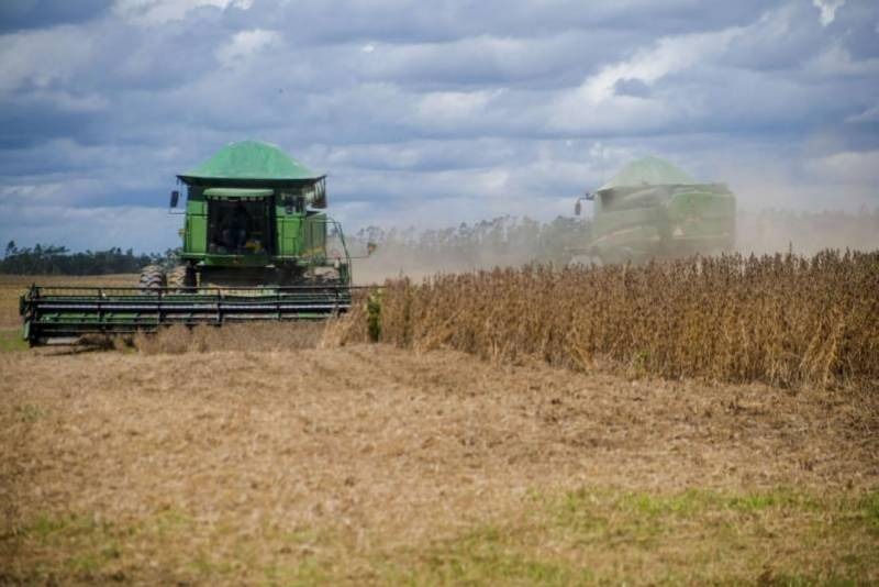 O Pará é o Estado da região Norte com o melhor desempenho no ranking das exportações de produtos do agronegócio.