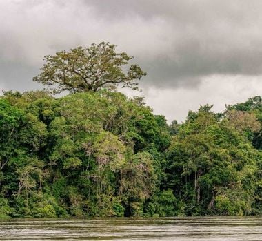 Imagem - Pará atinge marca de 1,5 milhão de hectares de CAR de Povos e Comunidades Tradicionais inscritos