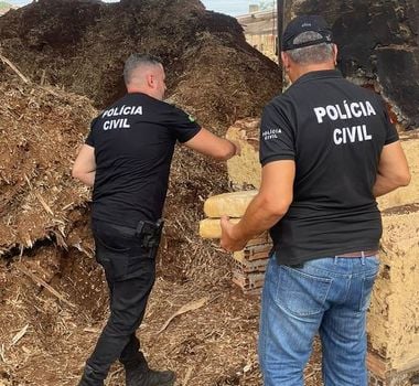 Imagem - Polícia Civil incinera 93 quilos de maconha, em Brejo Grande do Araguaia