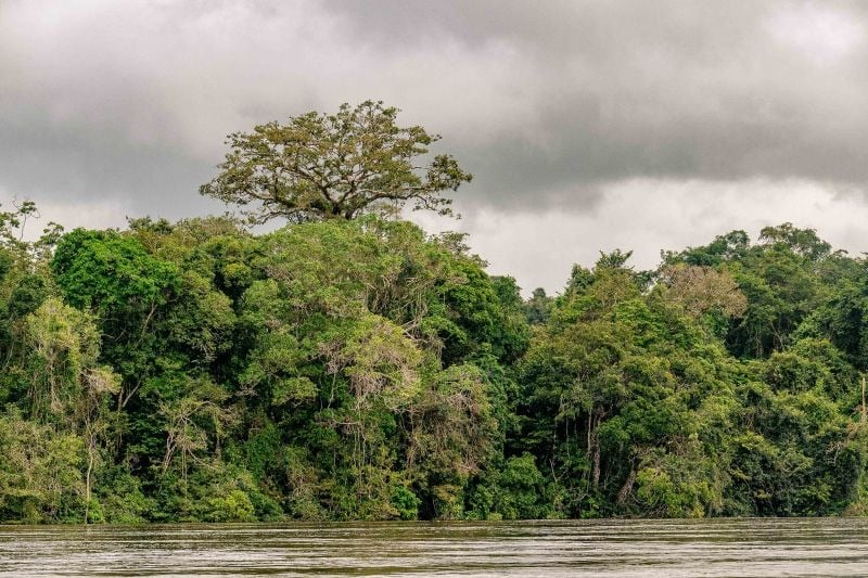 A comunidade quilombola Vila Canta Galo, no município de Porto de Moz, no Baixo Amazonas, finalizou o processo de inscrição do Cadastro Ambiental Rural. 