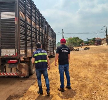 Imagem - Sefa apreende 100 cabeças de gado, com destino ao Maranhão, avaliadas em R$ 231 mil