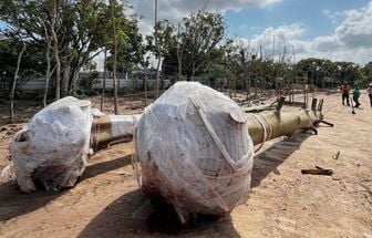 Transplante de samaumeira marca nova etapa no Parque da Cidade, em Belém