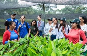 Pará e Acre realizam intercâmbio sobre recuperação florestal