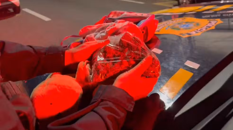 (Maconha estava escondida dentro de tartaruguinha de pelúcia, motociclista disse que era entrega.) 