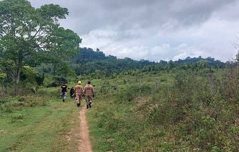 Operações de combate a crimes ambientais garantem redução do desmatamento no Pará