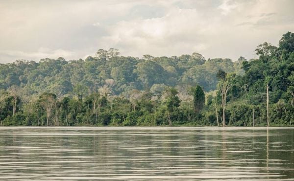 Unidades de Conservação celebram 18 anos de proteção ambiental e desenvolvimento sustentável