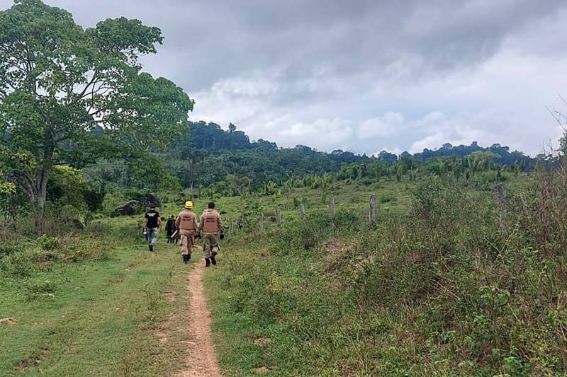 As operações Curupira e Amazônia Viva, coordenadas pelo governo do Pará, estão ajudando a reduzir os índices de degradação ambiental no Pará. 