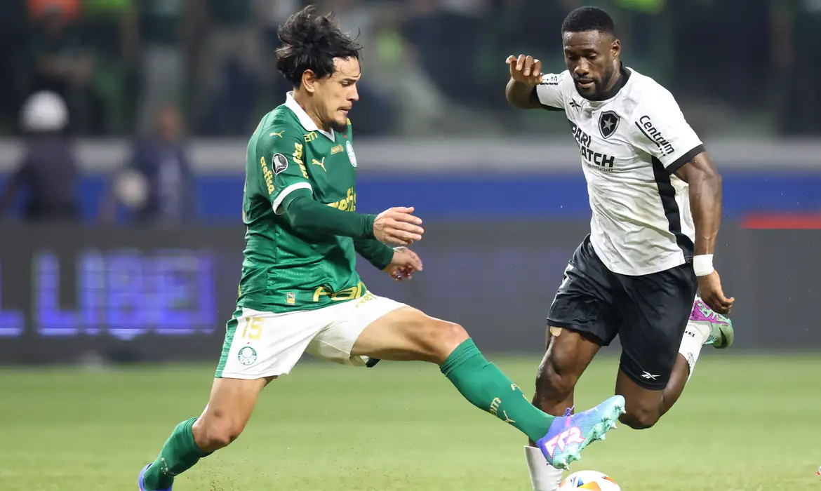 Botafogo e Palmeiras miram título do Brasileirão 2024 - 