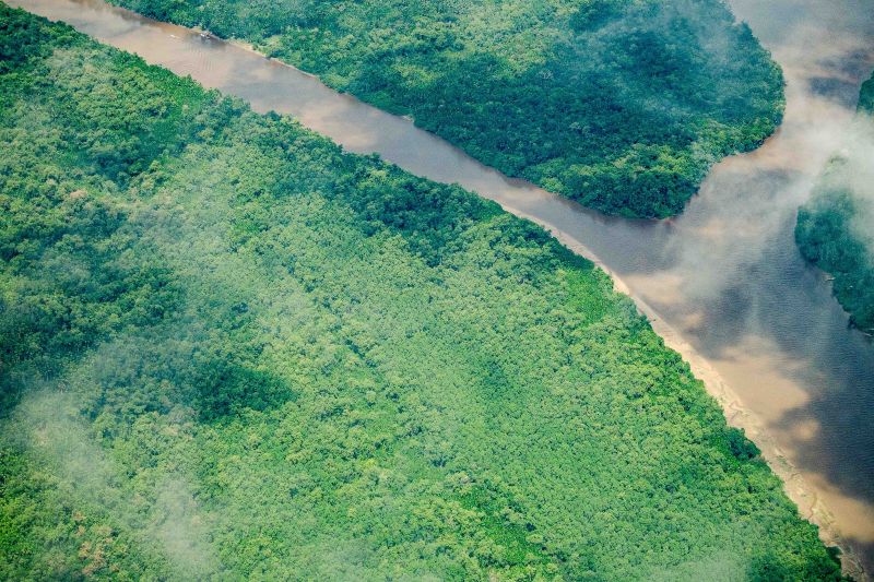 Fórum Paraense de Mudanças e Adaptação Climática promove debate sobre preservação.