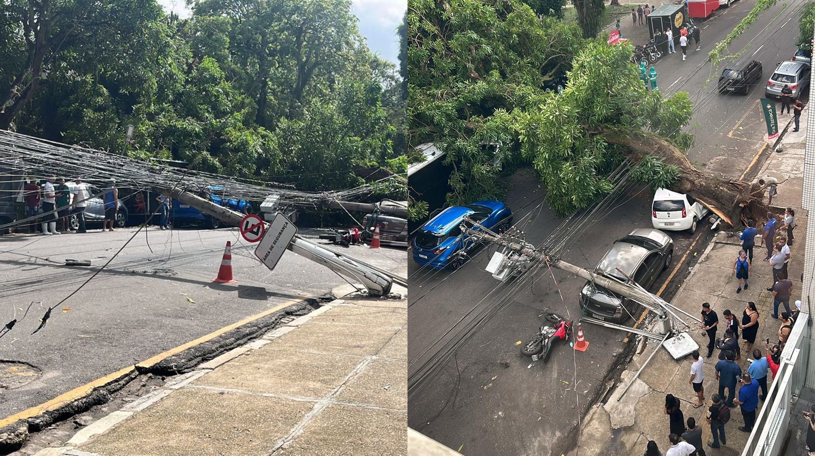 Queda de mangueira derruba quatro postes de energia, danifica carros de passeio e causa transtornos na Travessa Dom Pedro I, bairro Umarizal, em Belém.
