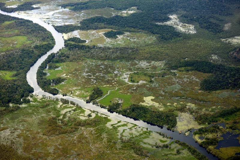 Pará avança com as concessões florestais, modelo sustentável de combate ao desmatamento -