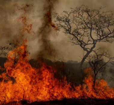 Imagem - Desastres climáticos aumentaram 250% nos últimos quatro anos no país