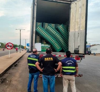 Imagem - Sefa apreende mais de 3.500 caixas para indústria de pescado em Dom Eliseu, no Pará