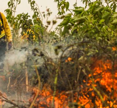 Imagem - Brasil tem 1 milhão de focos de queimada registrados em 5 anos