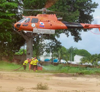 Imagem - Operação inédita recupera áreas afetadas por incêndios florestais no Pará