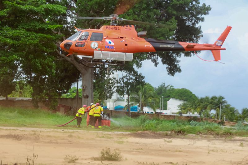 Ação do Corpo de Bombeiros lançou 240 quilos de sementes em ilha de Altamira.