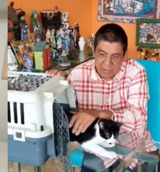 Imagem - Apaixonado por animais, Zeca Pagodinho apresenta os dois novos gatinhos adotados: ‘Pantera e Botafoguinho’