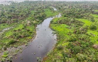 Recuperação da flora: mais 100 quilos de sementes de árvores nativas são despejados em ilha de Altamira