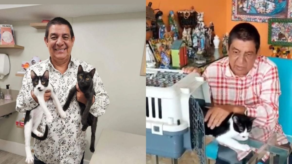 Apaixonado por animais, Zeca Pagodinho apresenta os dois novos gatinhos adotados: ‘Pantera e Botafoguinho’