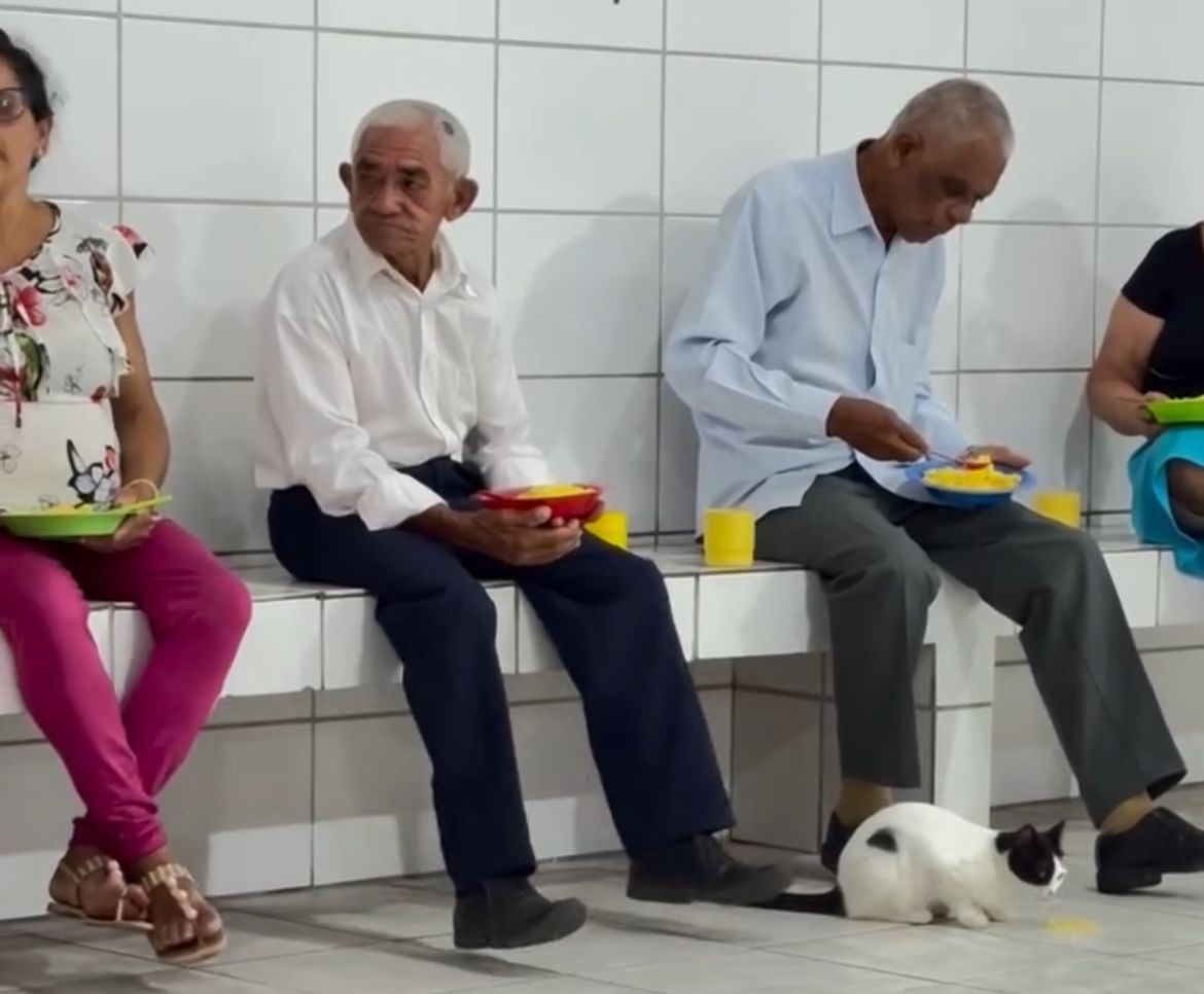  Vídeo: senhores no EJA Inspiram com Exemplo de Superação