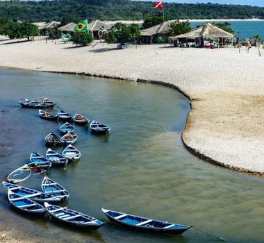 Imagem - Pará será representado por suas riquezas naturais e gastronômicas em feira na Espanha