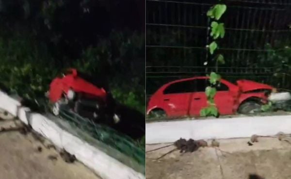 Vídeo: carro ultrapassa grade de proteção e cai em área de mata na João Paulo II, em Belém