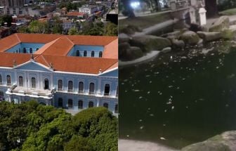 Mudança de lagos provocou mortes de peixes na praça Batista Campos, em Belém