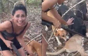 Ibama procura mulher que aparece matando e torturando onça em vídeo