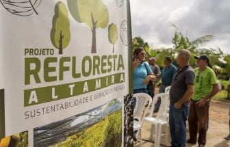 Projeto distribui 100 mil mudas para recuperação de áreas degradadas na região do Xingu