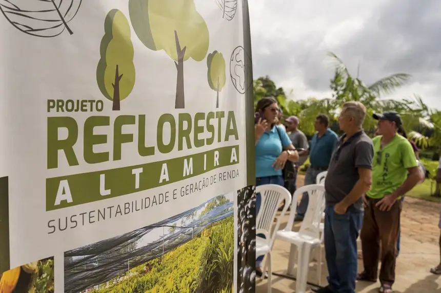 Projeto distribui 100 mil mudas para recuperação de áreas degradadas .