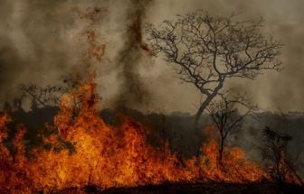 Crise climática é amplificadora de outras crises, alerta pesquisadora