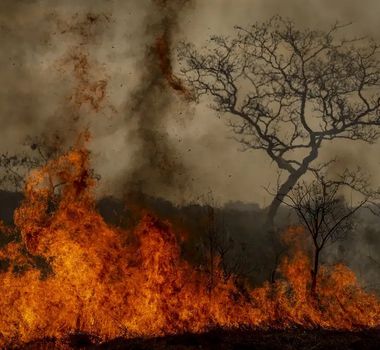 Imagem - Crise climática é amplificadora de outras crises, alerta pesquisadora