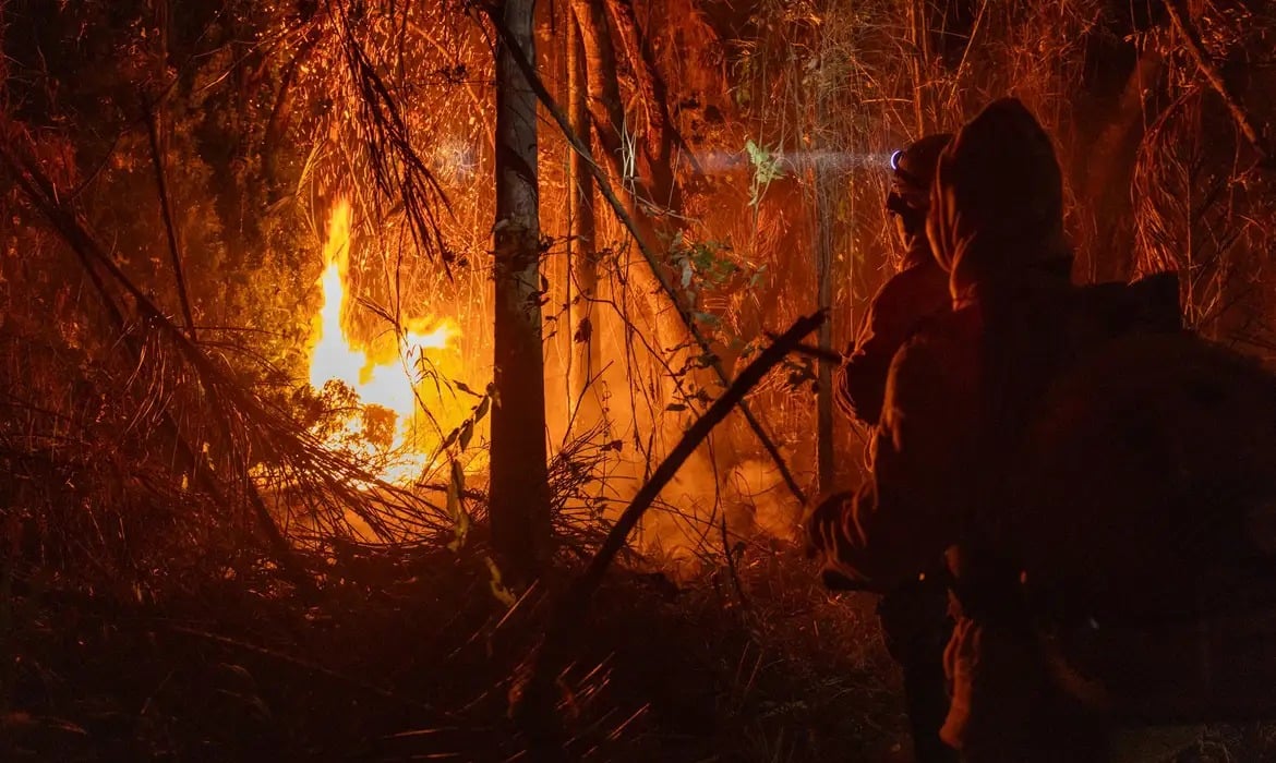 A extensão da área queimada é superior à do território da Itália e a maior registrada desde 2019.