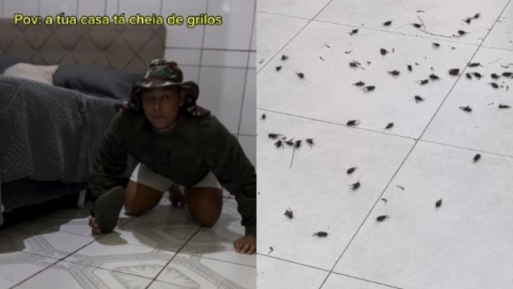 Imagem - Influenciador viraliza ao fazer um vídeo relatando sobre a infestação de grilos