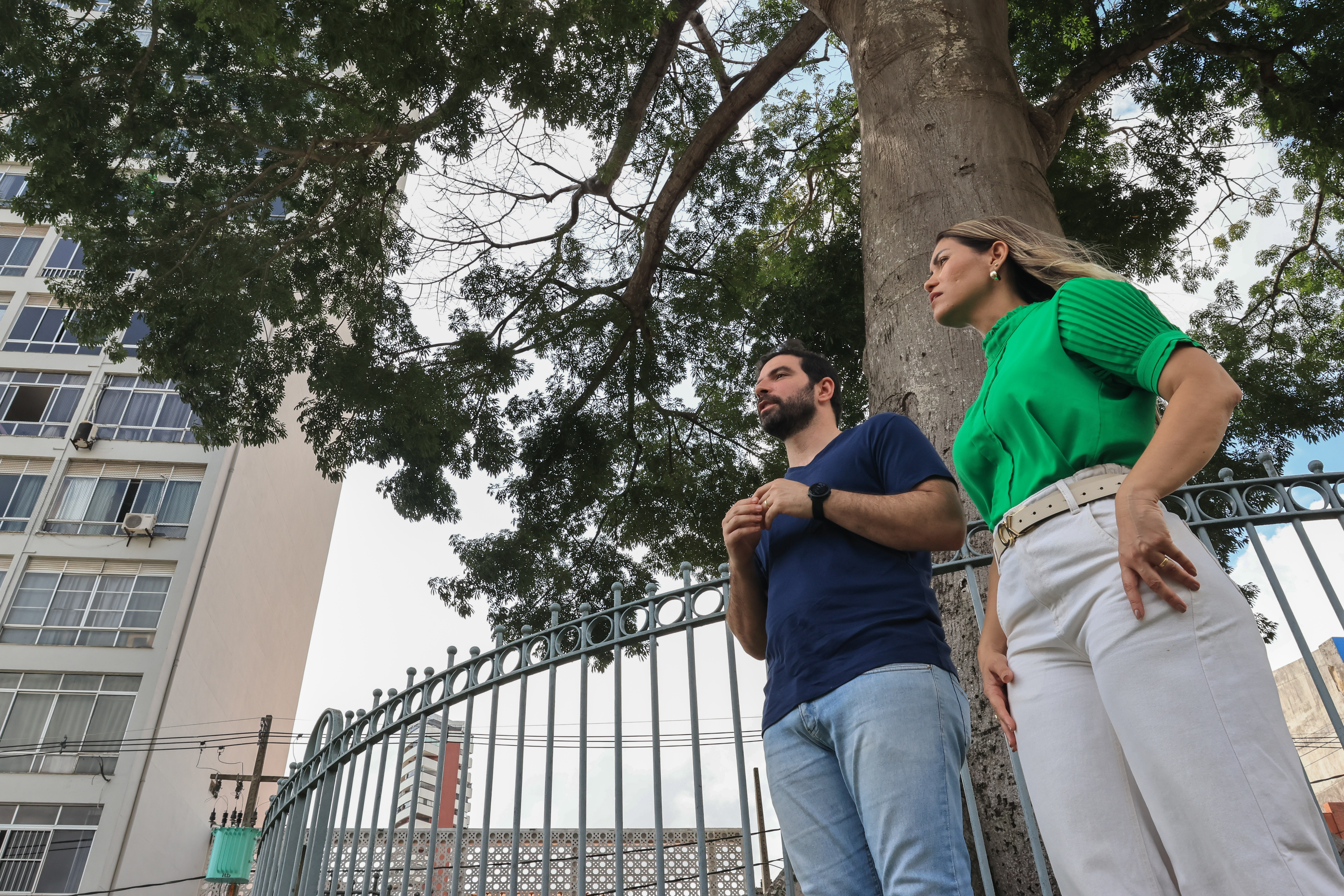 Samaumeira localizada na Praça Santuário