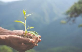 Belém promove a I Conferência Municipal de Meio Ambiente neste sábado (25)