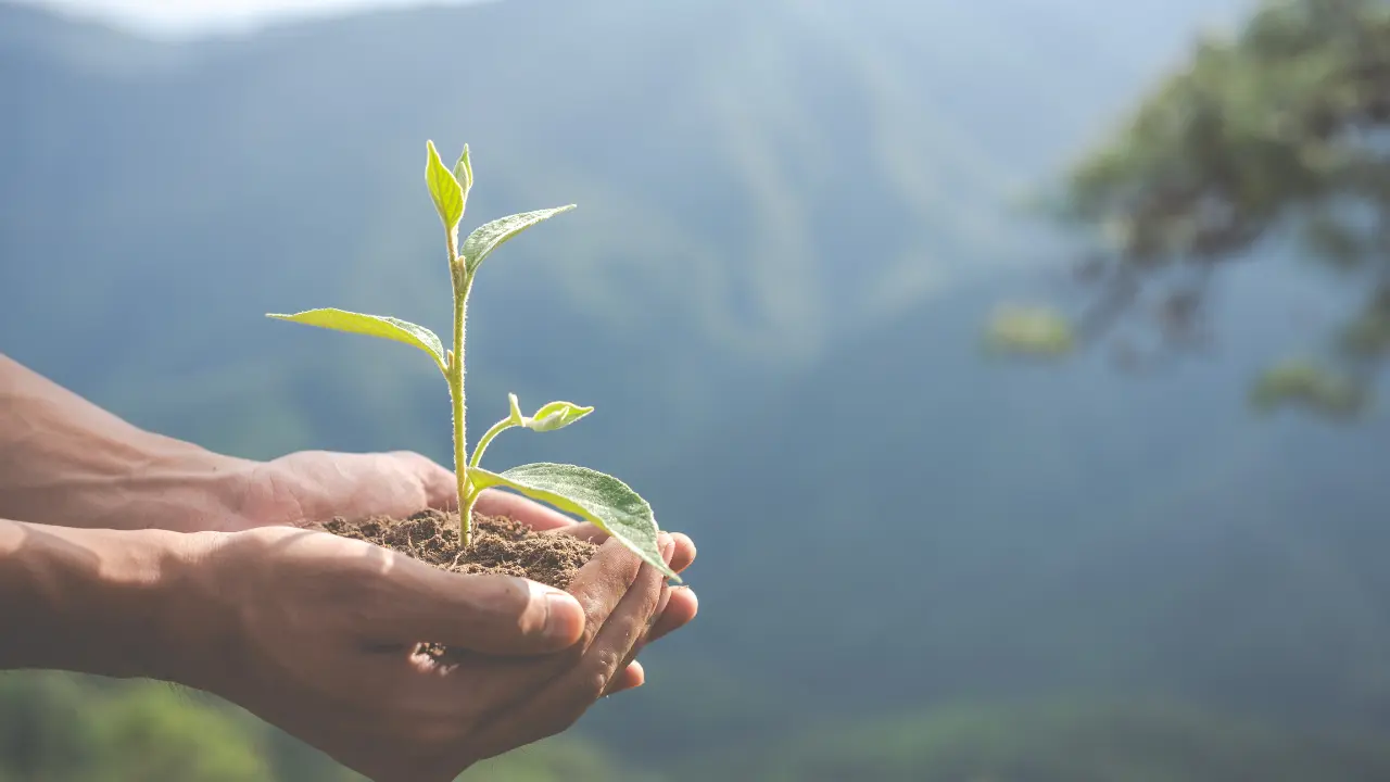 Imagem - Belém promove a I Conferência Municipal de Meio Ambiente neste sábado (25)