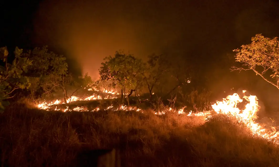 Incêndios florestais aumentaram na Amazônia em 2024