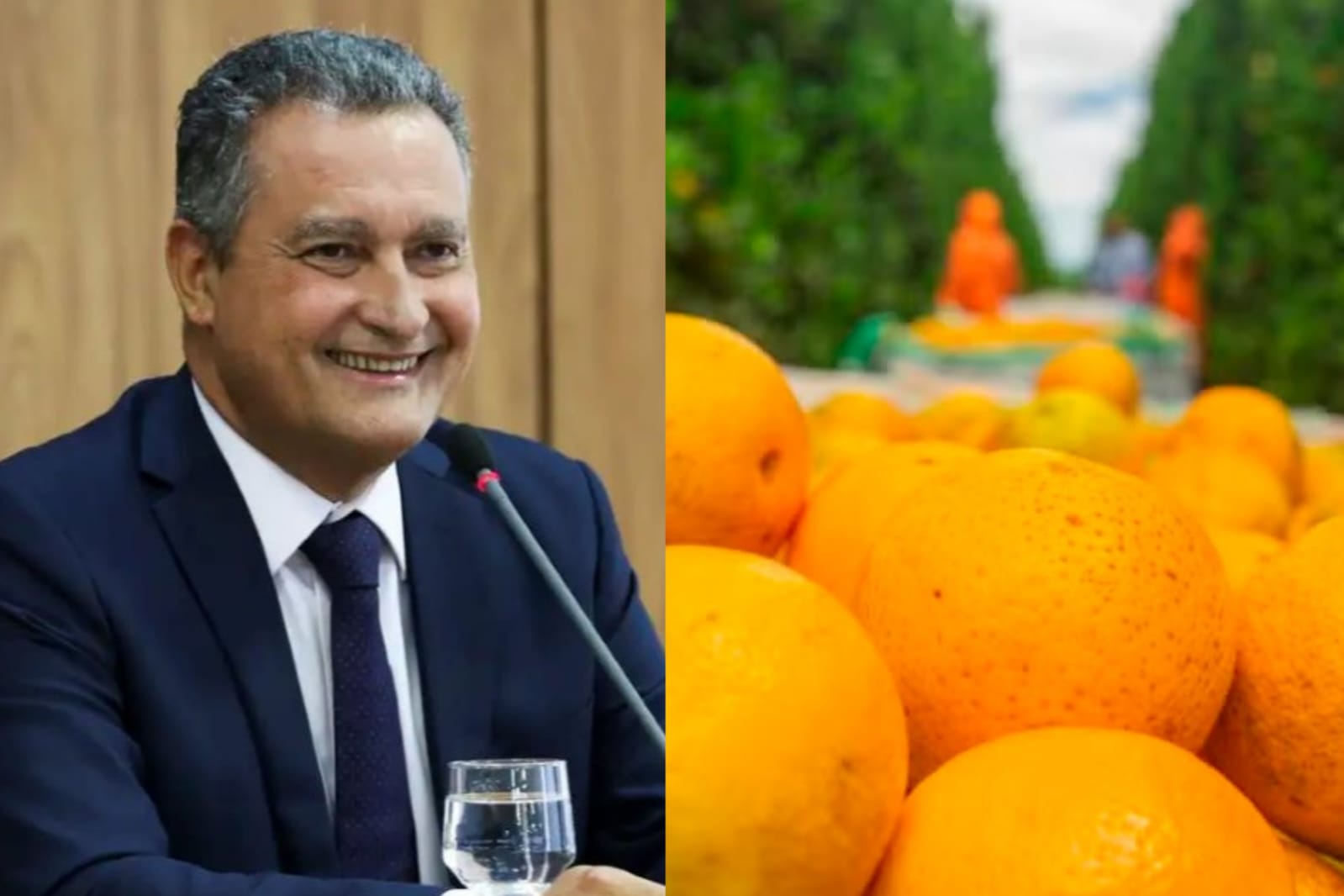 Imagem - Ministro sugere que povo troque consumo de laranja por outra fruta, diante da alta de preços